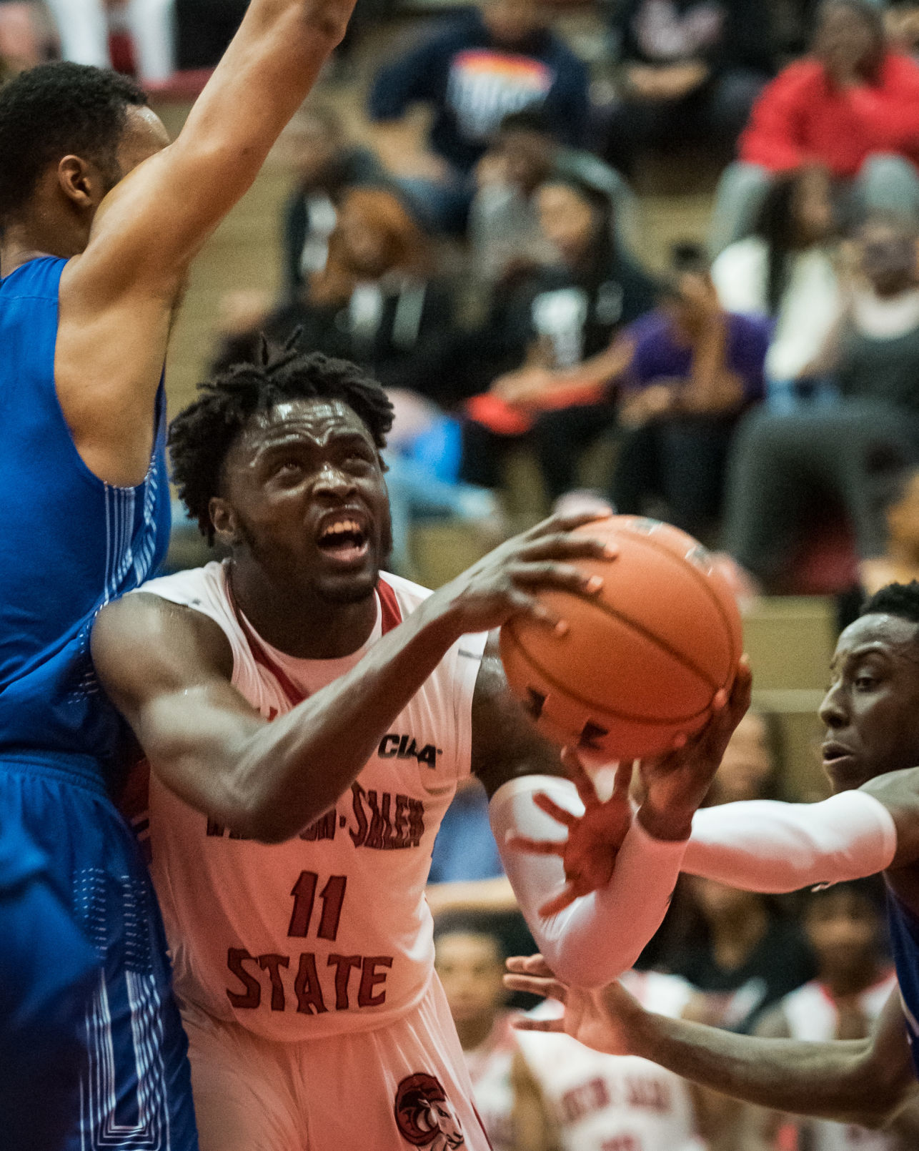 WSSU Elizabeth City State Mens Basketball